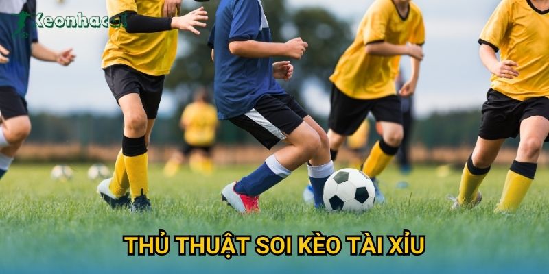 Thủ thuật soi kèo tài xỉu Keonhacai – Phân tích dữ liệu chuẩn xác